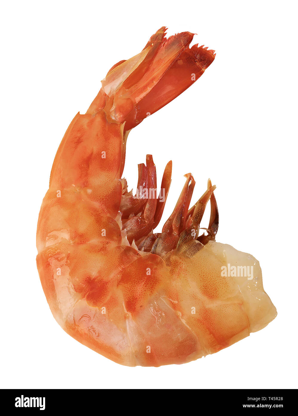 La crevette rose Banque D'Images