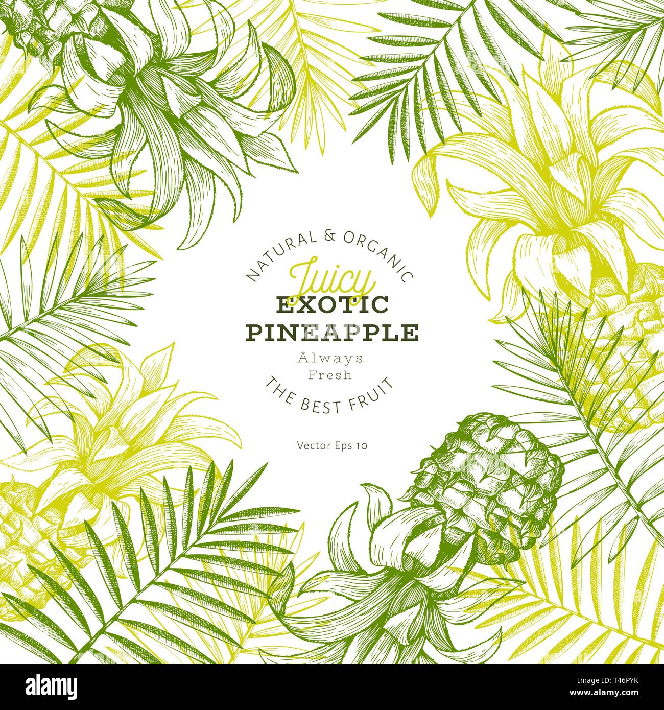 L'ananas et le modèle de conception de feuilles tropicales. Hand drawn vector illustration de fruits tropicaux. Style gravé fruits ananas bannière. Botanique rétro cadre. Illustration de Vecteur