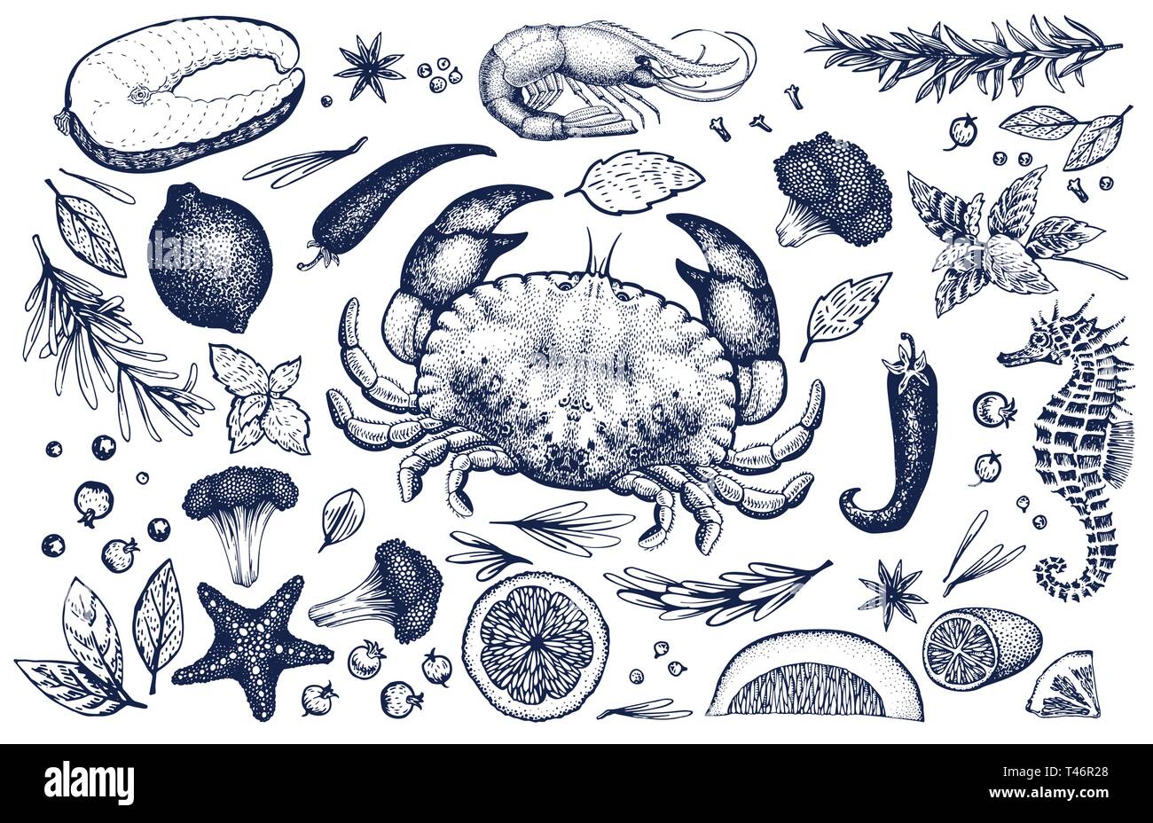 Les fruits de mer et épices vector set. Vintage hand drawn illustrations. Peut être utiliser pour les restaurants menu, couvrir, à l'emballage. Rétro arrière. Illustration de Vecteur