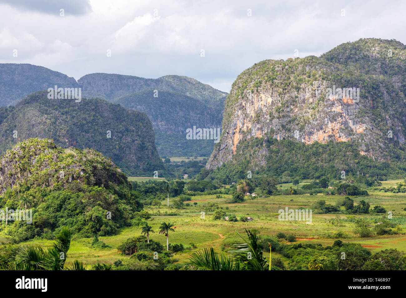 La vallée des mogotes vert caraïbes avec collines paysage, Viñales, Pinar  del Rio, Cuba Photo Stock - Alamy