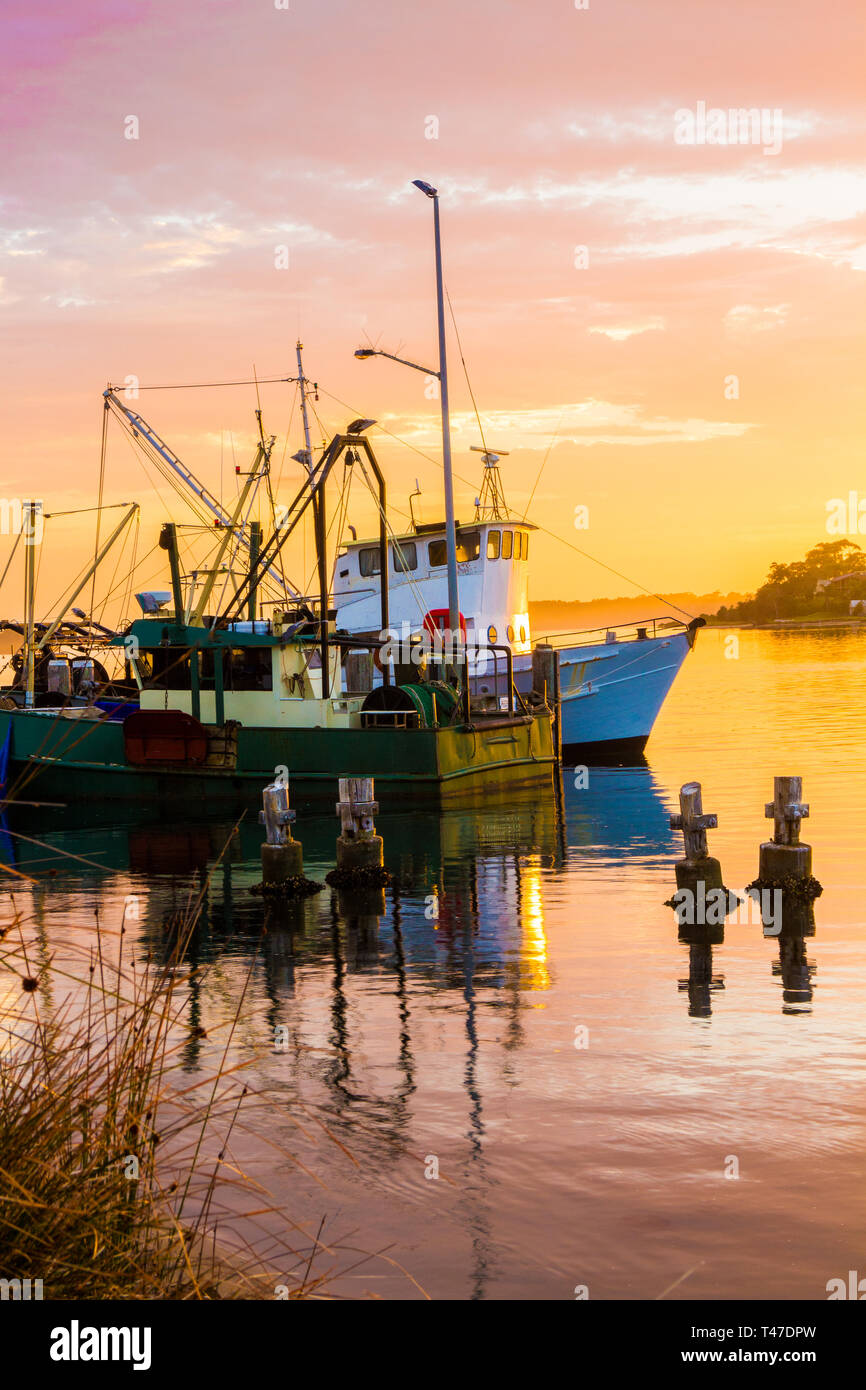 Bateaux de pêche au lever du soleil. Greenwell Point, New South Wales, Australia Banque D'Images