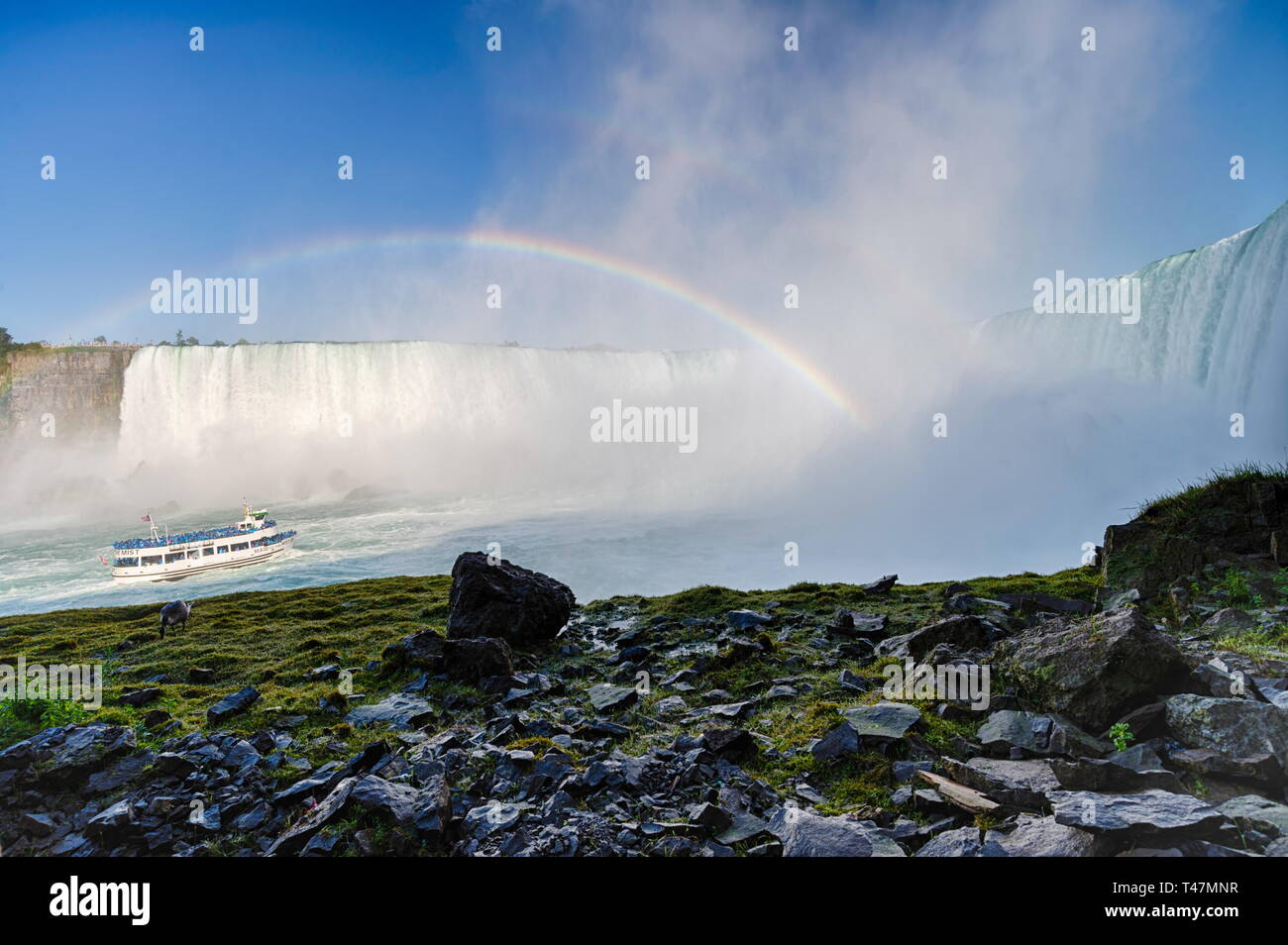 Célèbre cascade Niagara falls, au Canada, l'Ontario Banque D'Images