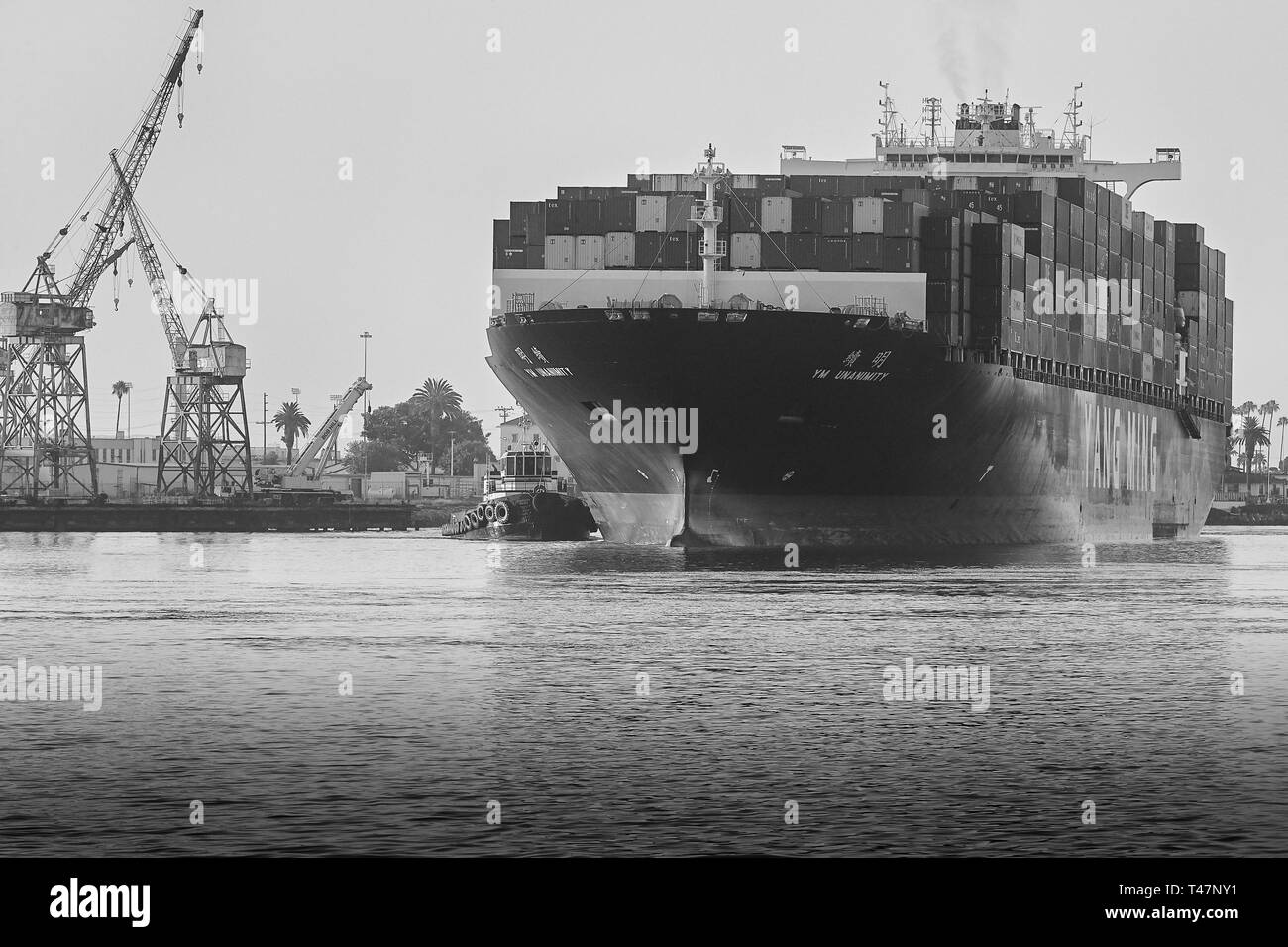 Photo en noir et blanc du porte-conteneurs, YM UNANIMITÉ, navigue à travers l'étroit canal principal de Los Angeles jusqu'au port de Los Angeles, en Californie Banque D'Images