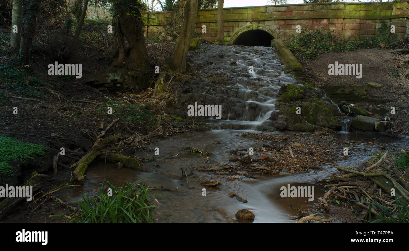 Pris sur un peu de marche en Afrique du Staffordshire. Banque D'Images
