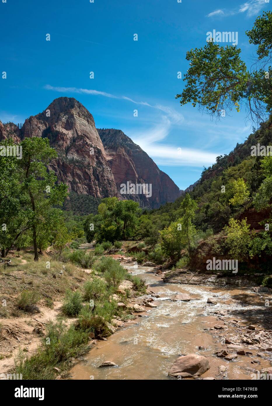 Virgin River traverse Zion Canyon, Zion National Park, Utah, USA Banque D'Images