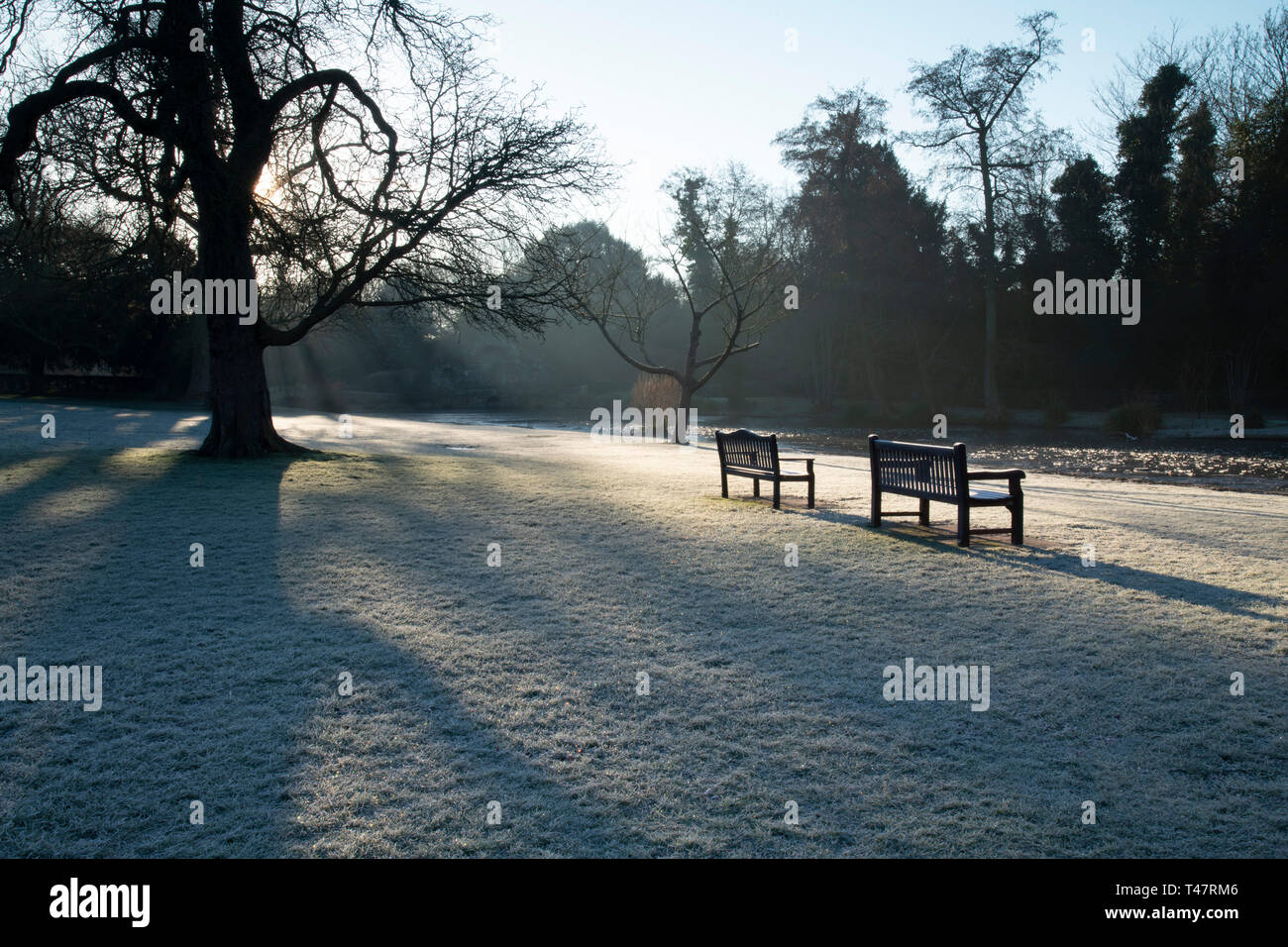 Une étendue de pelouse couverte de givre et bancs de jardin sur un matin de février à Chiswick House, Chiswick, Londres, UK Banque D'Images