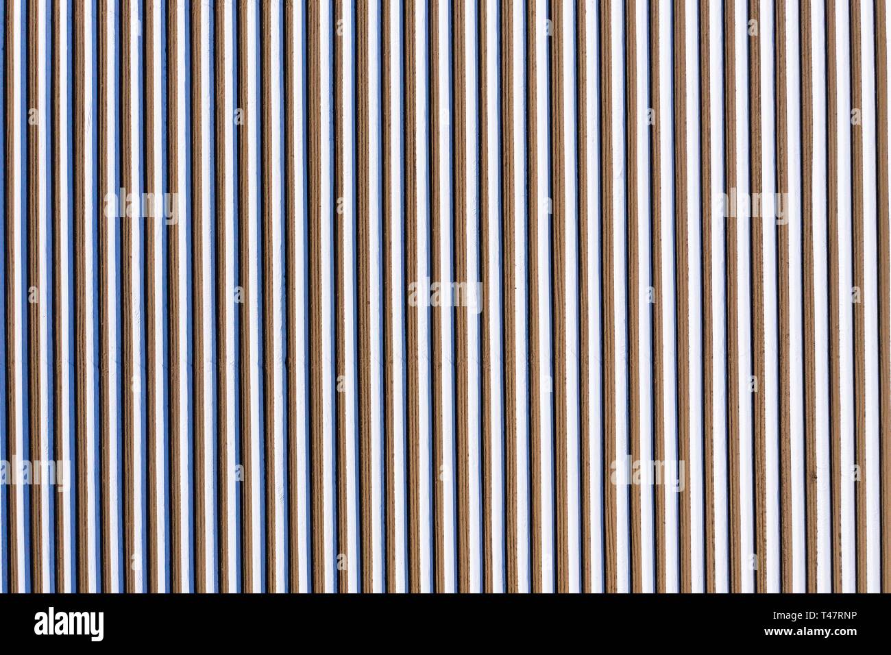 Champ d'asperges, asperges blanches avec bâche, Bergstrasse, Hesse, Allemagne Banque D'Images