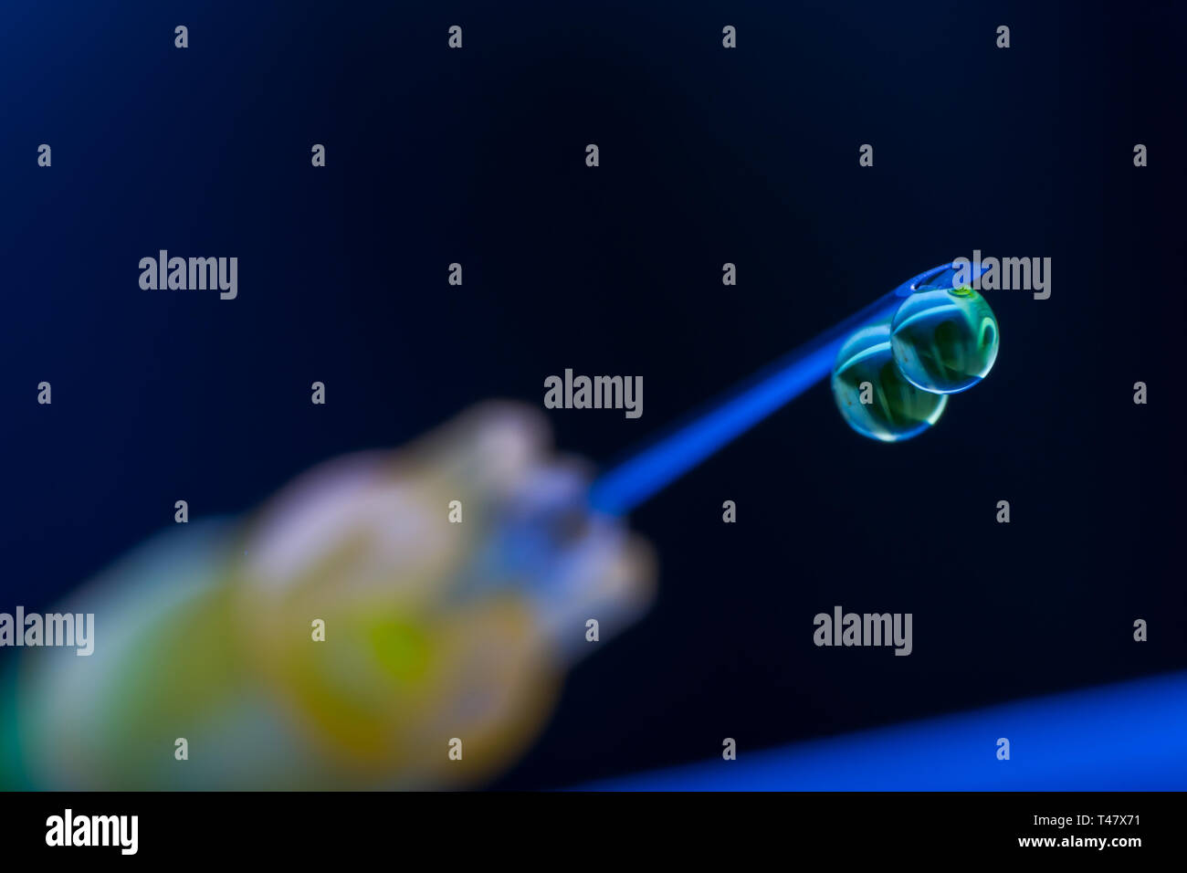 Photo macro d'une seringue avec aiguille gouttes de médicaments Banque D'Images