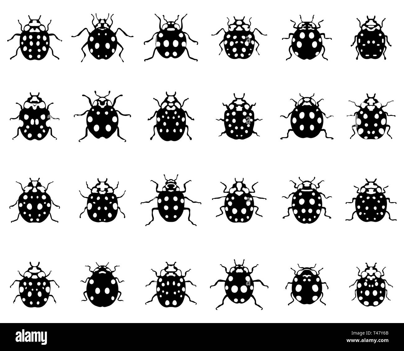 Les coccinelles Banque d'images noir et blanc Alamy — free download