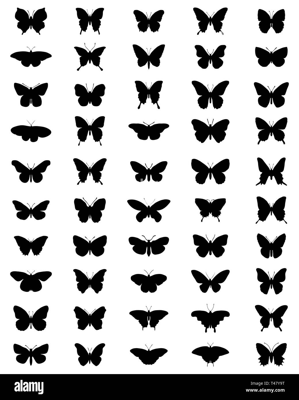 Silhouettes de papillons noirs sur fond blanc Banque D'Images