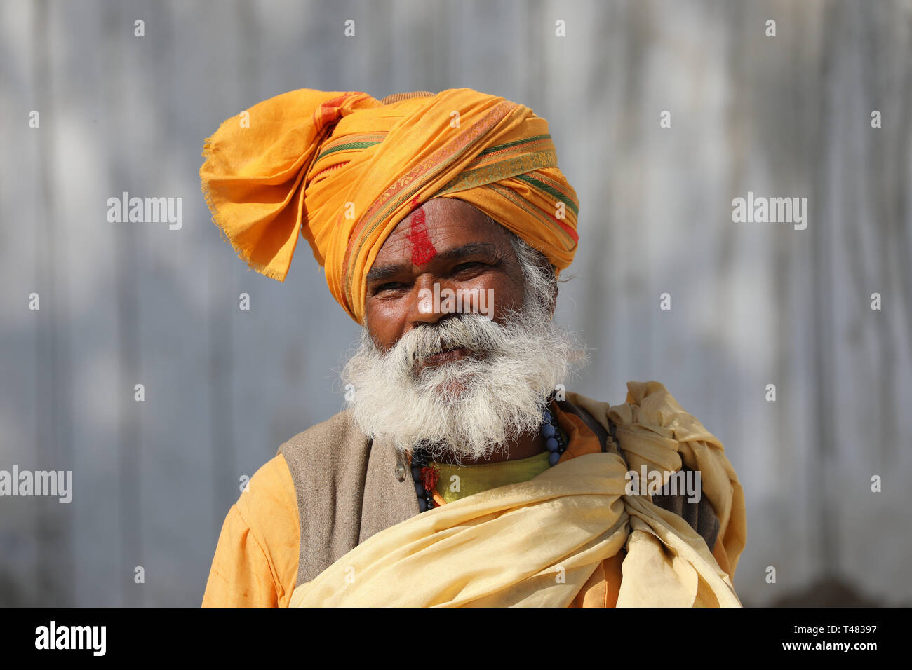 L'Inde Vieil Homme withTurban ---- Portrait de personnes traditionnelle indienne Banque D'Images