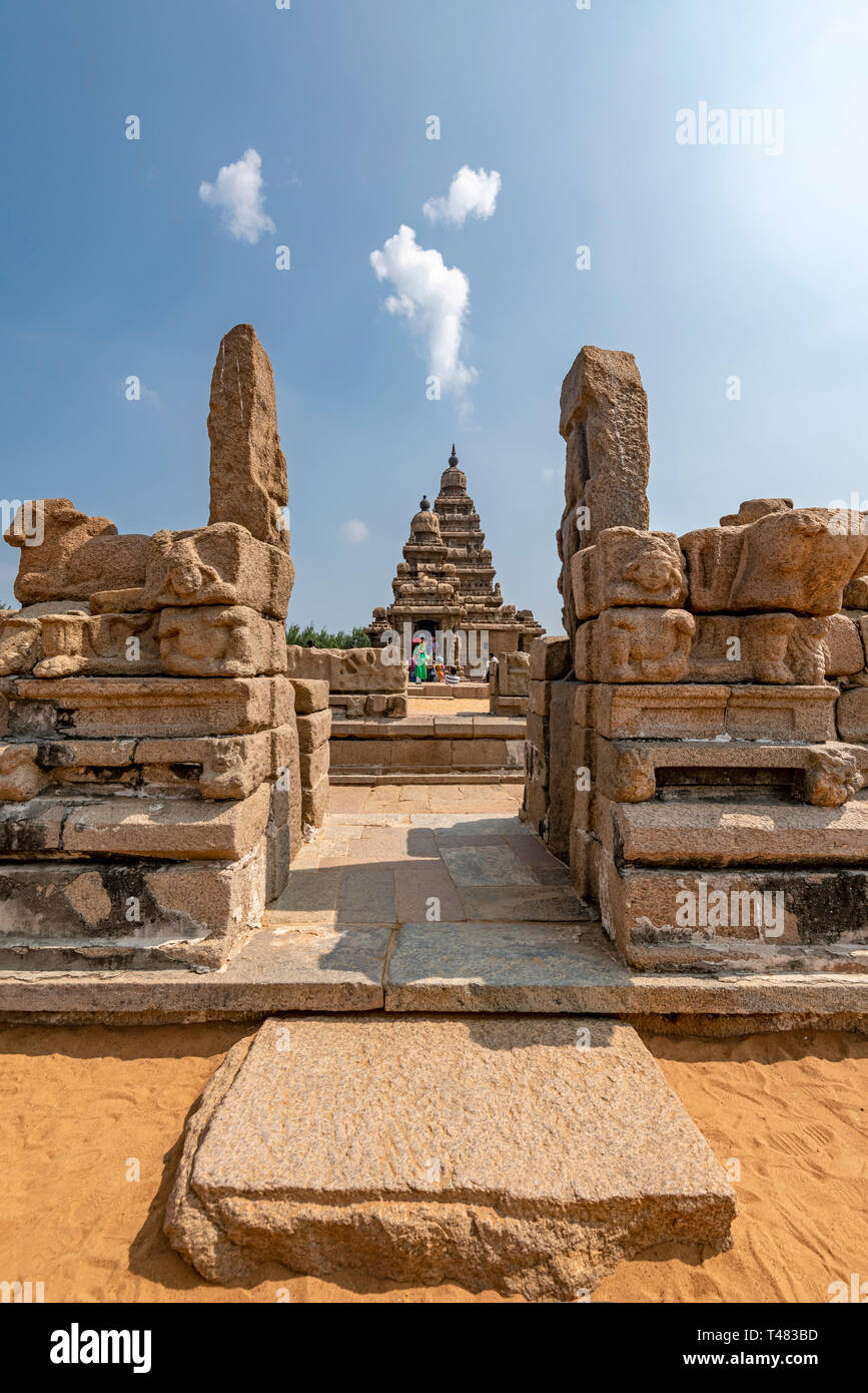 Vue verticale de la rive temple de Mahabalipuram, Inde. Banque D'Images