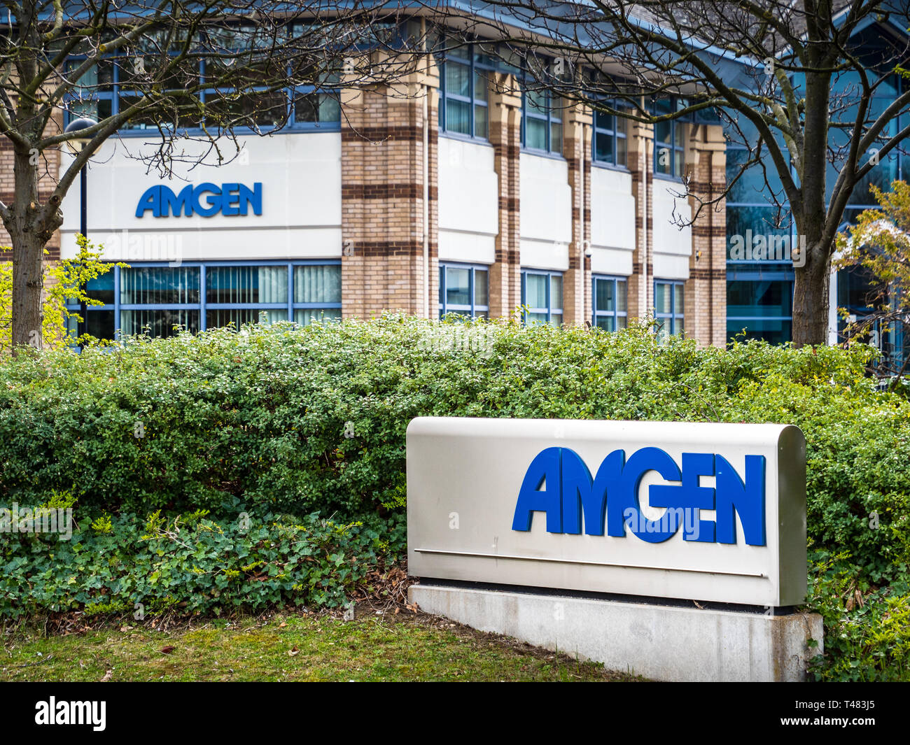 Bureaux d'Amgen sur Cambridge Science Park, Cambridge UK. Amgen est une société biopharmaceutique multinationale américaine. Banque D'Images