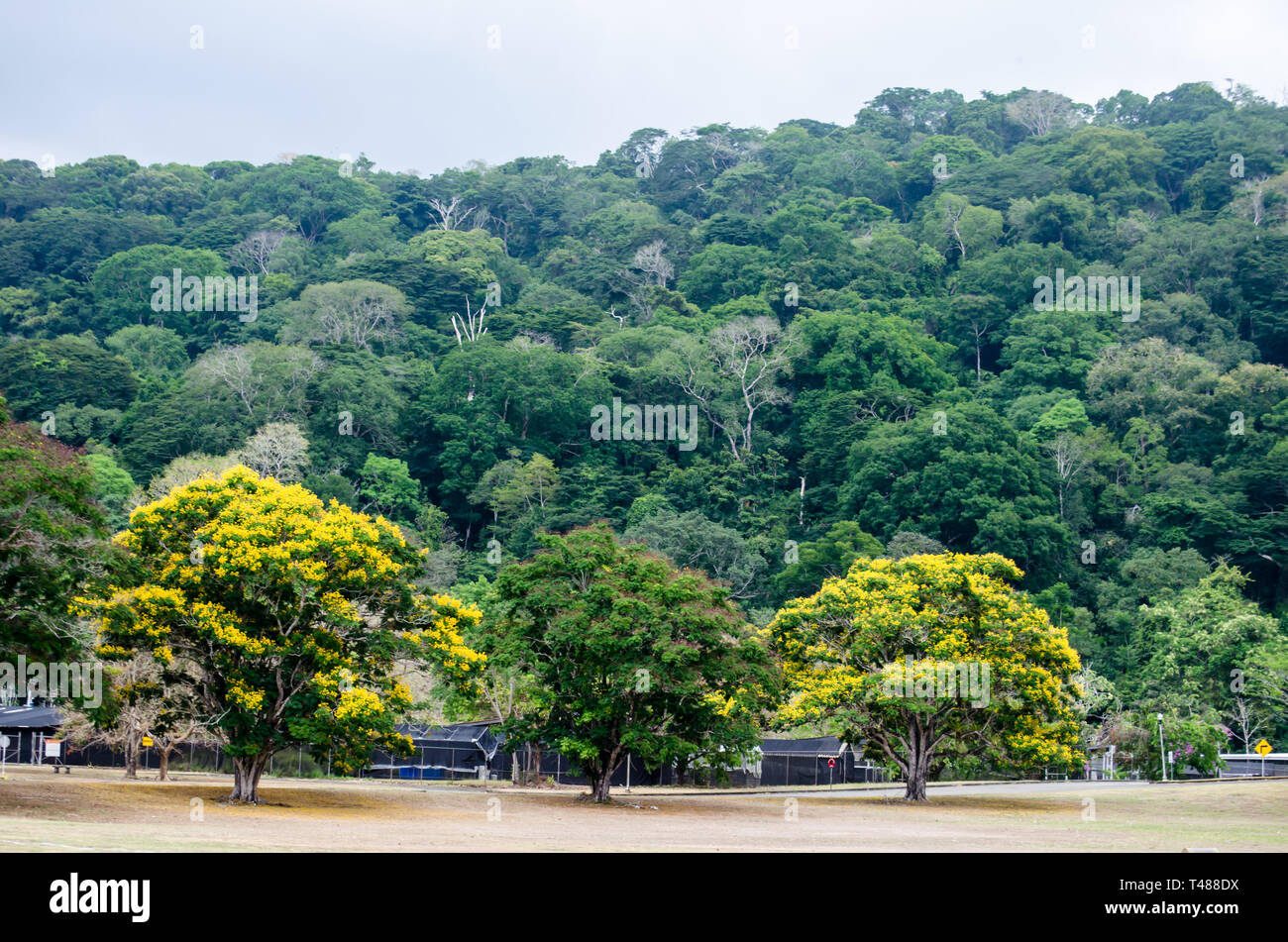 Gamboa avec Soberanía Parc National dans la distance Banque D'Images
