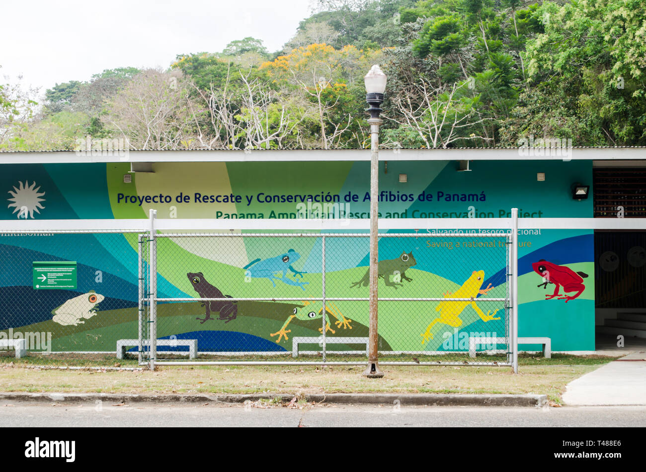 Proyecto de Rescate y Conservación de Anfibios de Panamá building à Gamboa Banque D'Images
