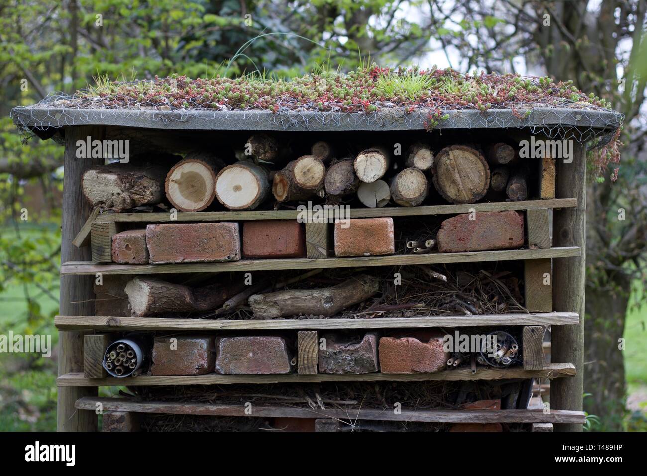 Magasin en bois rustique jardin Banque D'Images