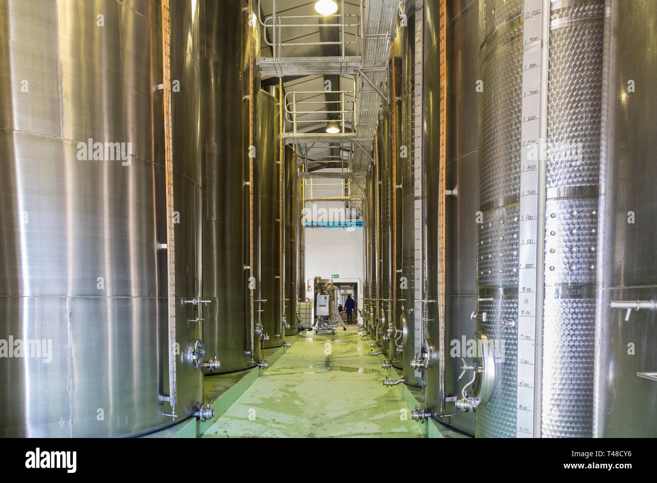 Dans les caves avec d'énormes cuves de fermentation en acier à McGregor McGregor, vins, Robertson Wine Valley, Western Cape Winelands, Afrique du Sud wine pr Banque D'Images