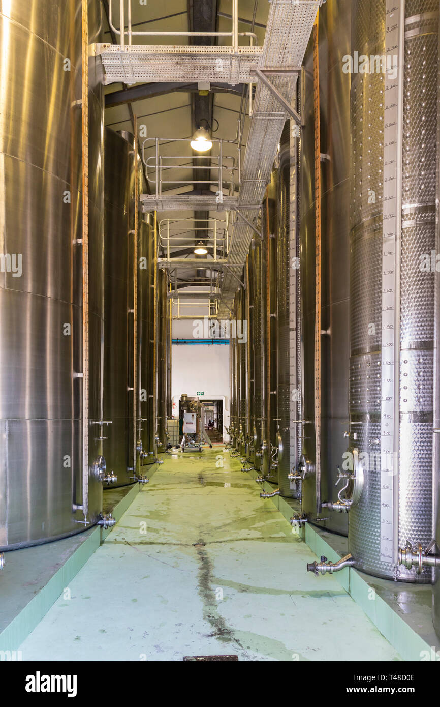 Dans les caves avec d'énormes cuves de fermentation en acier à McGregor McGregor, vins, Robertson Wine Valley, Western Cape Winelands, Afrique du Sud Banque D'Images