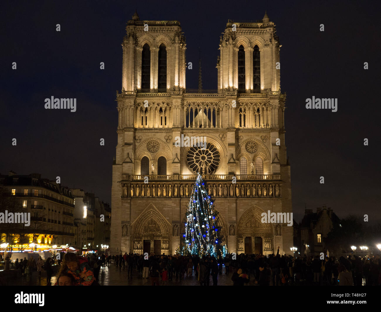 Arbre de Noël à l'église Notre-Dame en 2019 Banque D'Images