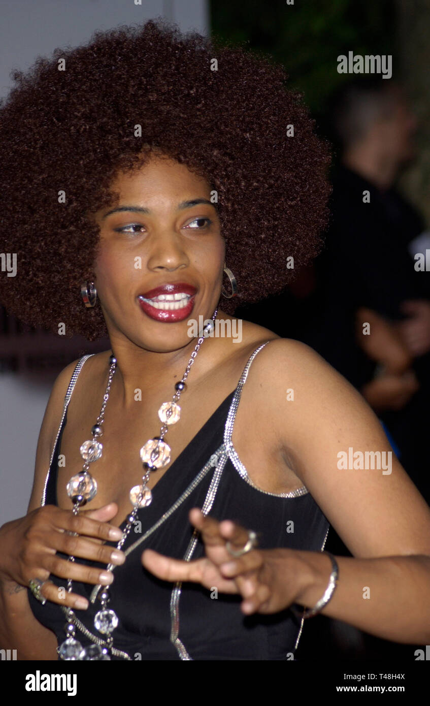 CANNES, FRANCE. 22 mai 2003 : la chanteuse MACY GRAY, Le Moulin de Mougins Restaurant pour l'amfAR's Cinema Against AIDS 2003 Gala. Banque D'Images