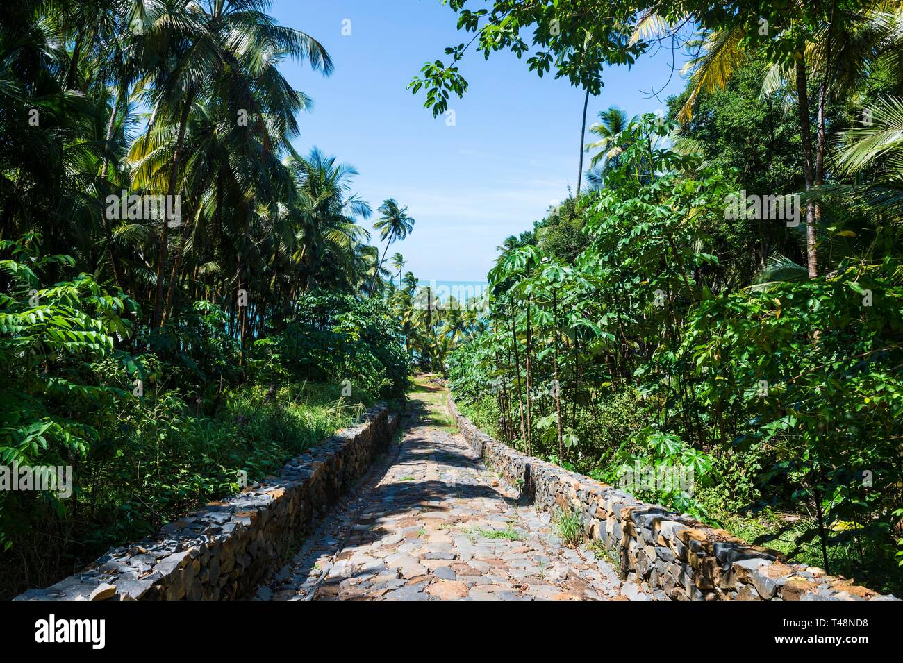Ancien camp de prisonniers politiques sur l'île Saint Joseph, îles du salut, en Guyane Banque D'Images Ancien camp de prisonniers politiques sur l'île Saint Joseph, îles du salut, en Guyane Banque D'Images