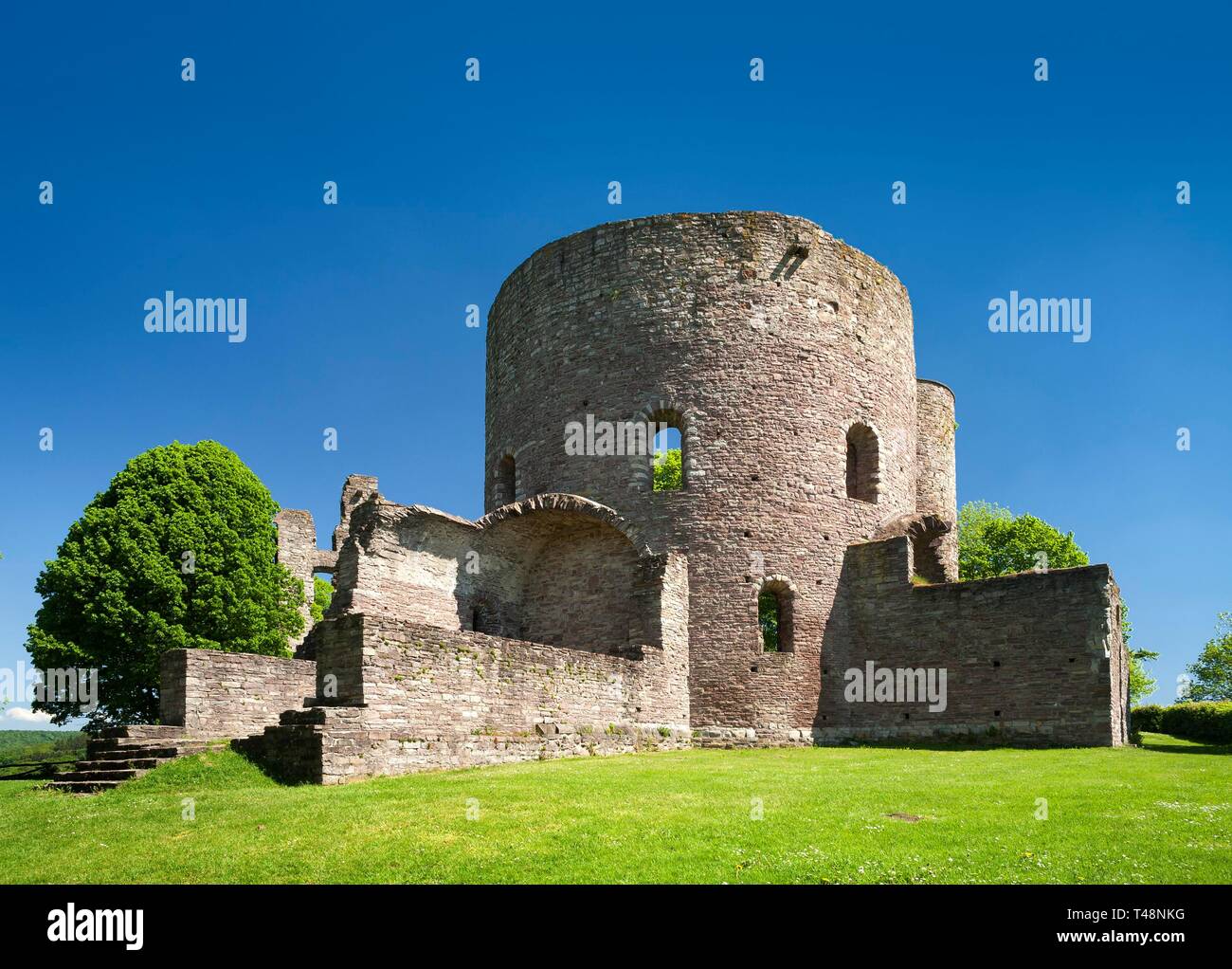 Les ruines du château dans Krukenburg Karlshafen-Helmarshausen mauvais, Reinhardswald, Weserbergland, Hesse, Allemagne Banque D'Images