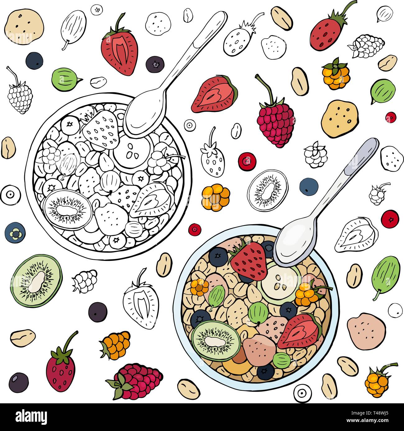 Le noir et blanc et couleur musli avec différents fruits rouges isolé sur fond blanc, vue du dessus. Petit-déjeuner le matin en bonne santé. Illustration de Vecteur