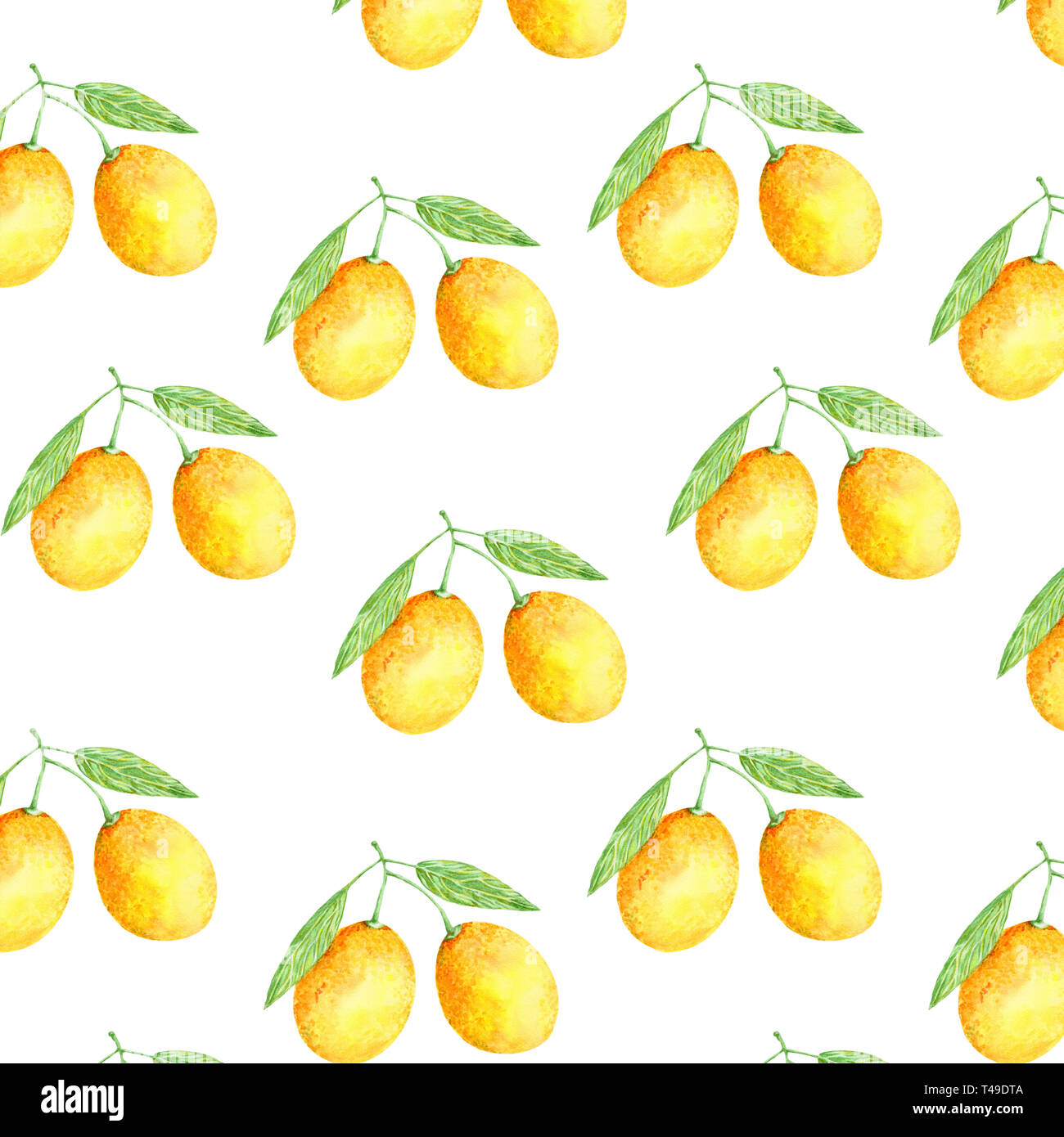 Fruits orange aquarelle. Peinture fraîche illustration couleur d'art dessinés à la main, élément juteux sur fond blanc Banque D'Images