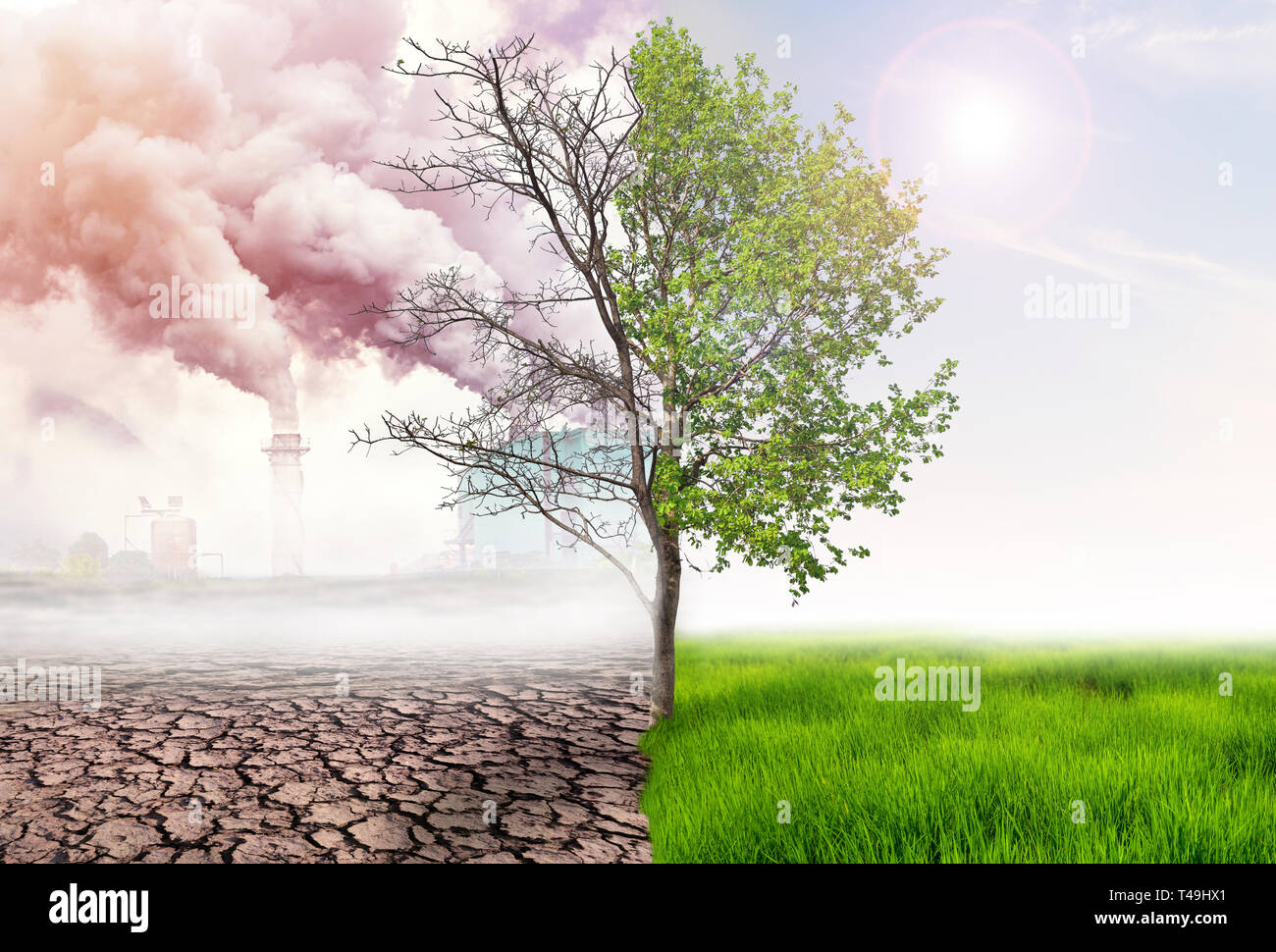 La comparaison de la terre verte et l'effet de la pollution de l'action de l'homme, réchauffement glbal concept, arbre vert et vert avec la lumière de la terre et les terres arides avec une Banque D'Images