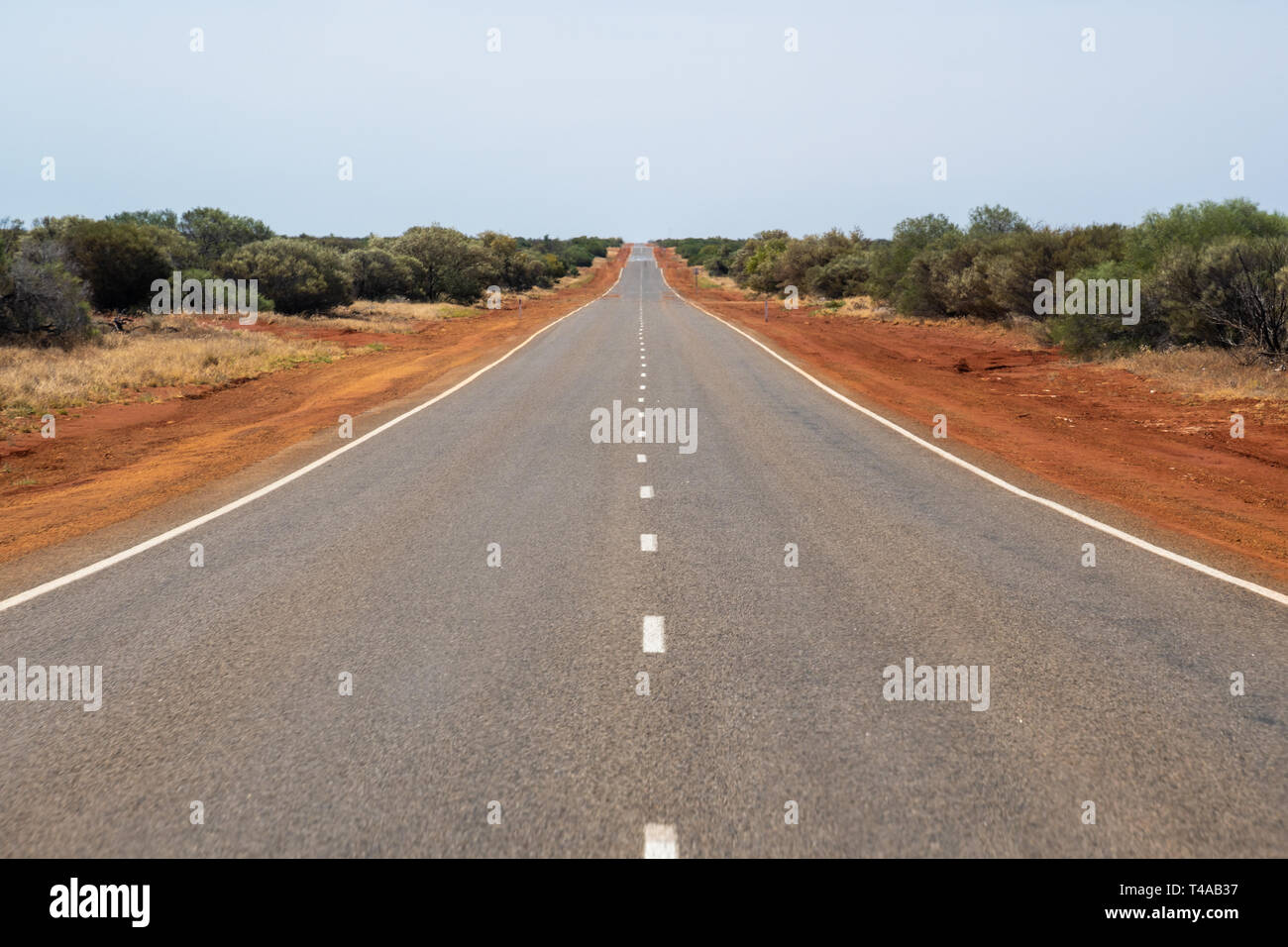 Longue ligne droite route menant à travers la brousse australienne à sec Banque D'Images