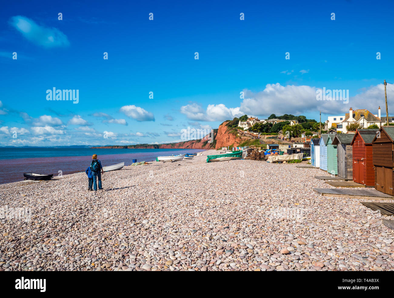 Plage de galets de Budleigh. Banque D'Images