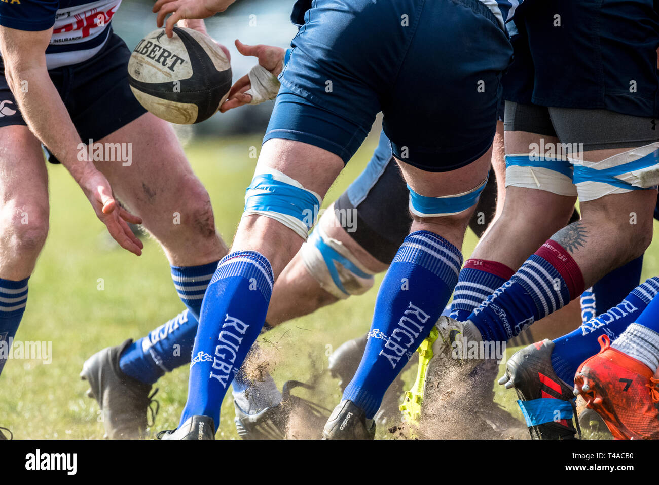 Rugby à attaquer le ballon pour le transmettre. Banque D'Images