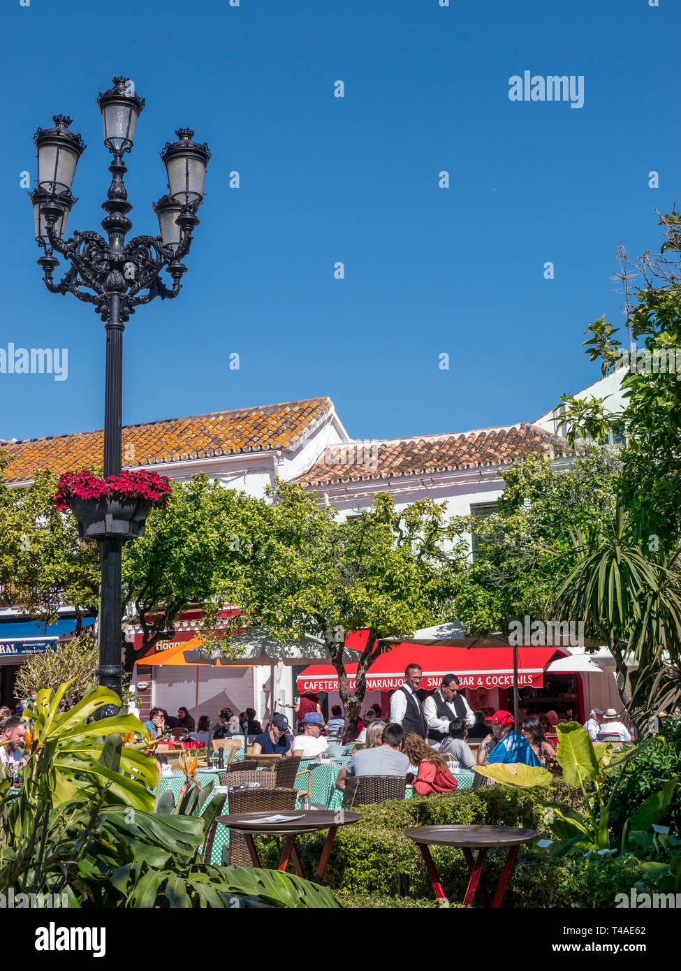 Marbella Alfresco service de serveur Orange Square - Plaza de los Naranjos, cuisine en plein air, les personnes appréciant la nourriture et le vin dans la vieille ville de Marbella Espagne Banque D'Images