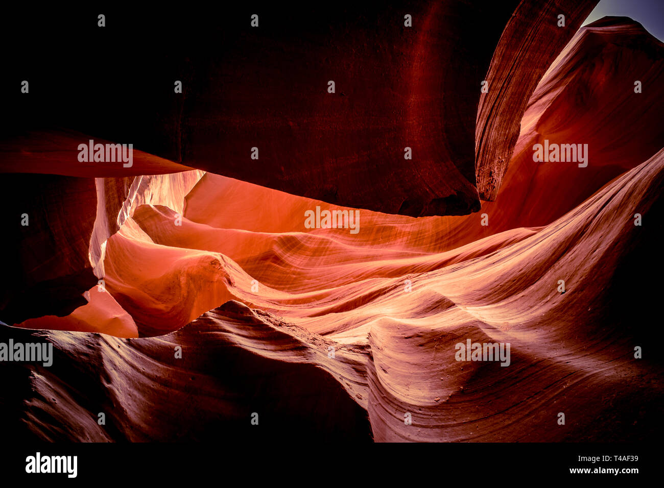 Les textures de grès rouge d'Antelope Canyon, dans le sud-ouest américain situé sur Navajo Land près de Page, Arizona. Banque D'Images