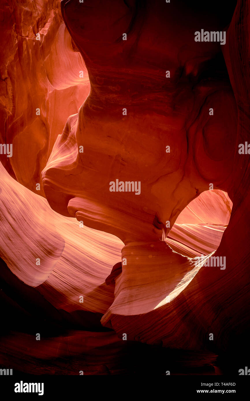 Les textures de grès rouge d'Antelope Canyon, dans le sud-ouest américain situé sur Navajo Land près de Page, Arizona. Banque D'Images