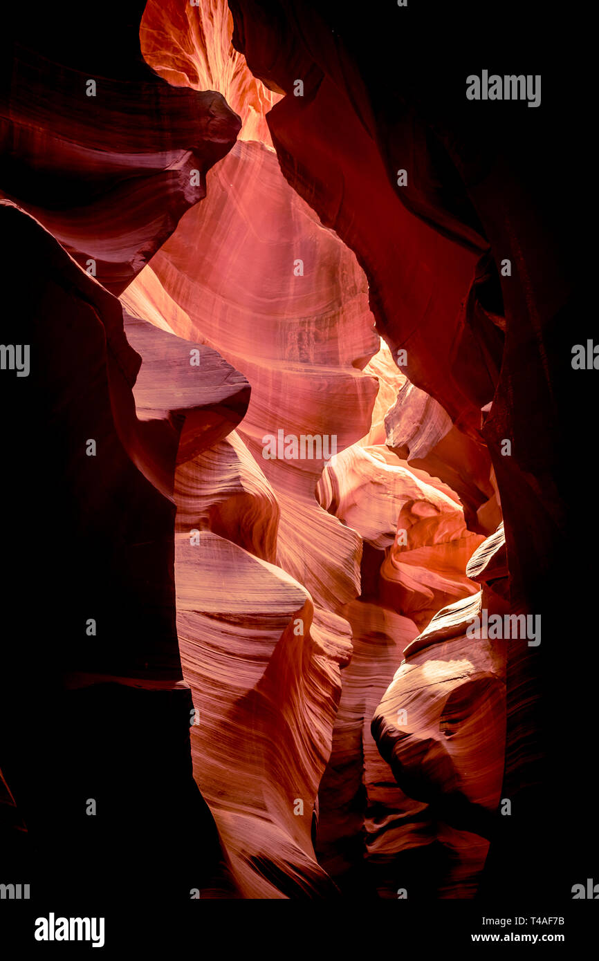 Les textures de grès rouge d'Antelope Canyon, dans le sud-ouest américain situé sur Navajo Land près de Page, Arizona. Banque D'Images