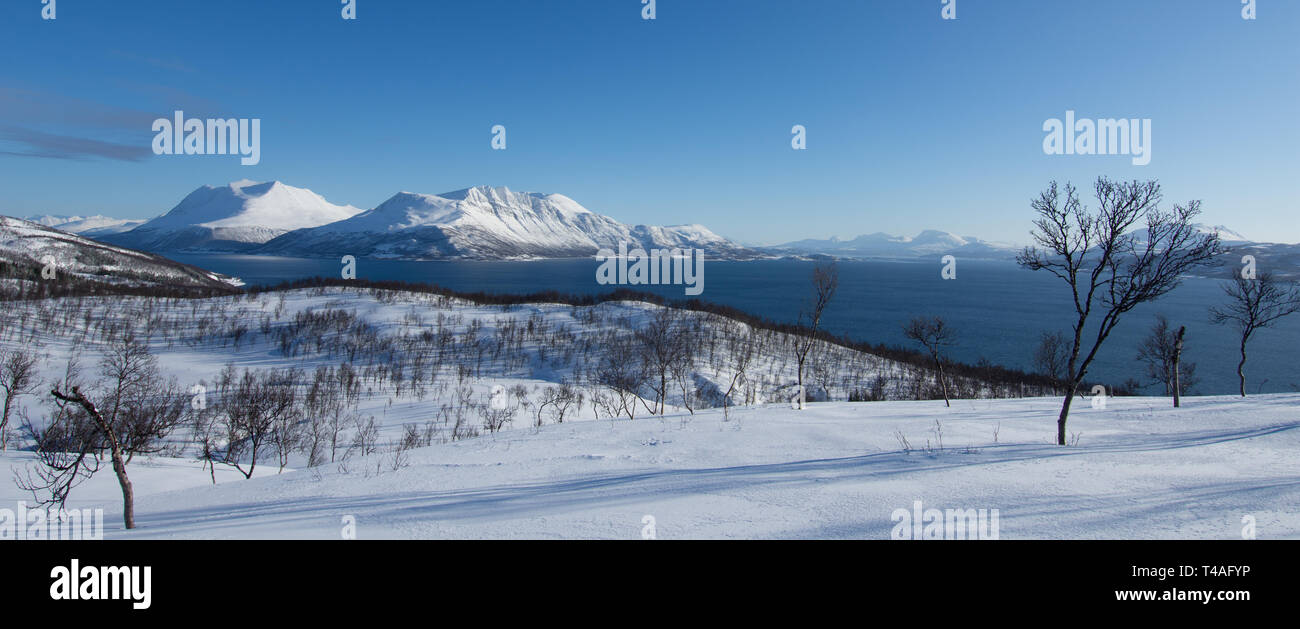 Vue prise de la rive d'Bakkejord, près de Tromso, Norvège montrant de montagnes au loin. Mars 2019. Banque D'Images