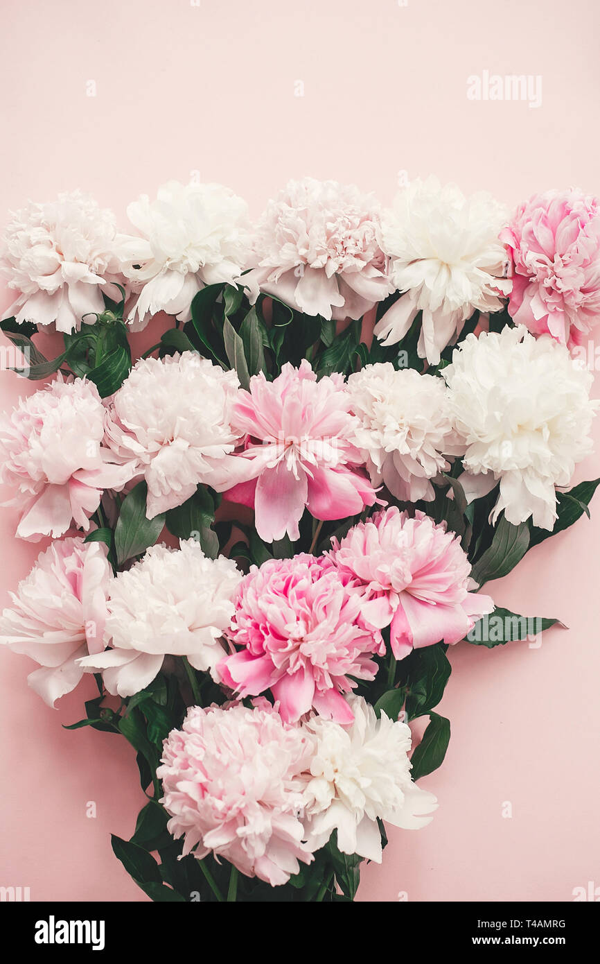 Rose Et Blanc élégant Bouquet De Pivoines Rose Sur Le Papier