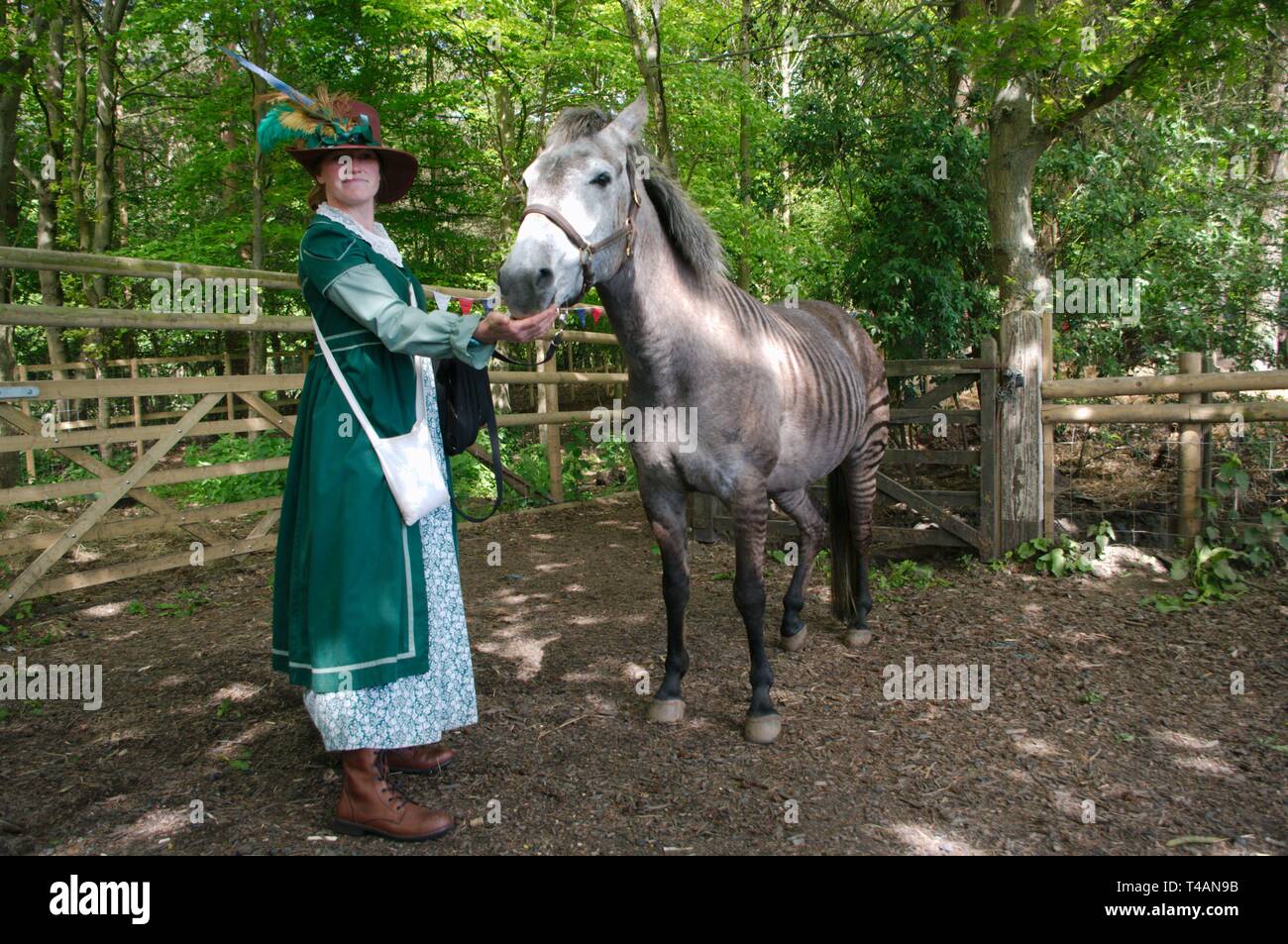 Rebecca Townsend avec Zulu le zorse, un croisement entre un zèbre et l'étalon mare. La mère de zoulou était un Arabe gris et son père un zèbre de subventions. Banque D'Images