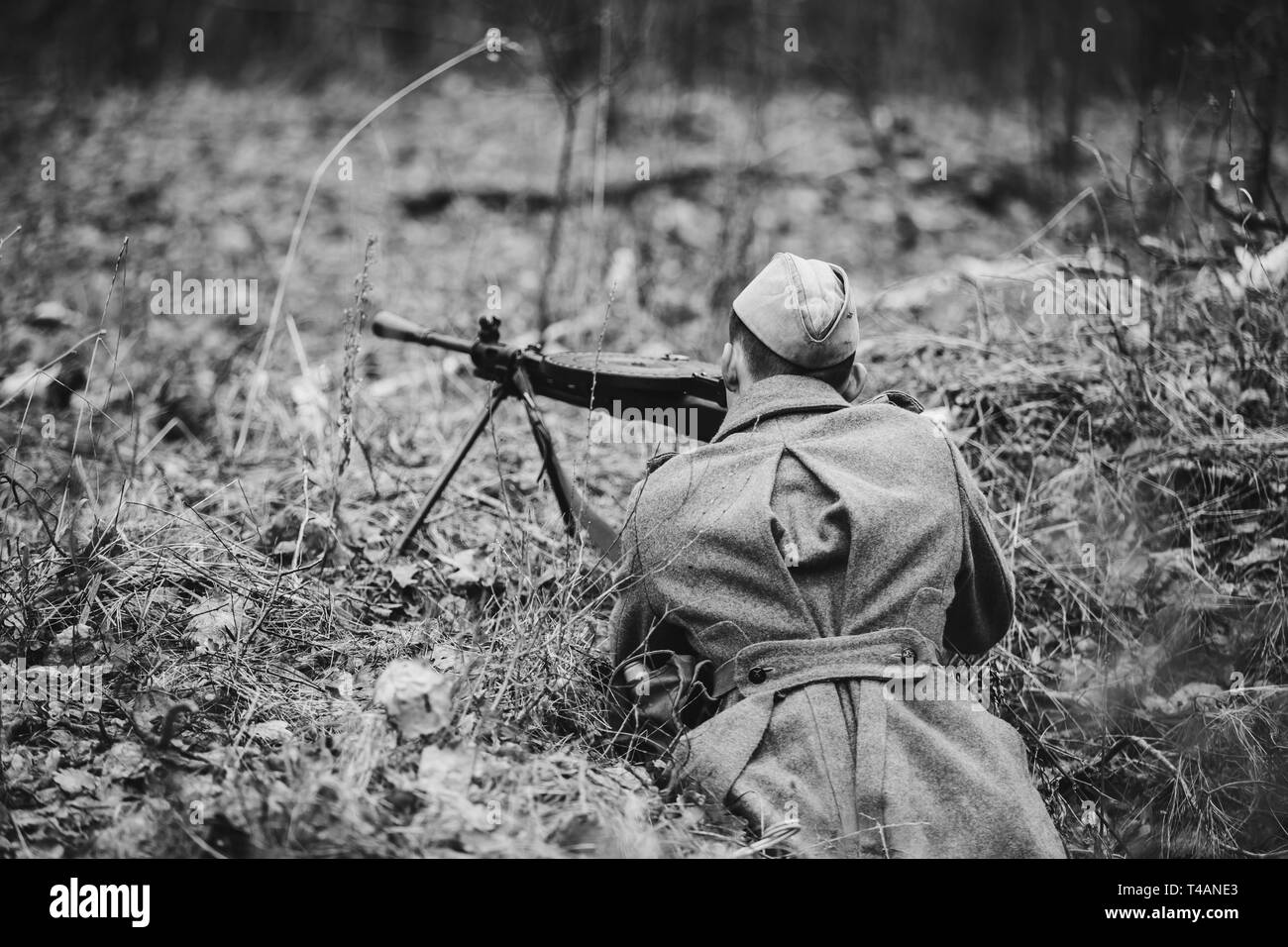 La reconstitution médiévale vêtu d'un paletot comme la Deuxième Guerre mondiale, des soldats de l'Armée rouge soviétique de Russie visant cachés avec une mitrailleuse dans la masse forestière. Photo en noir et blanc Banque D'Images