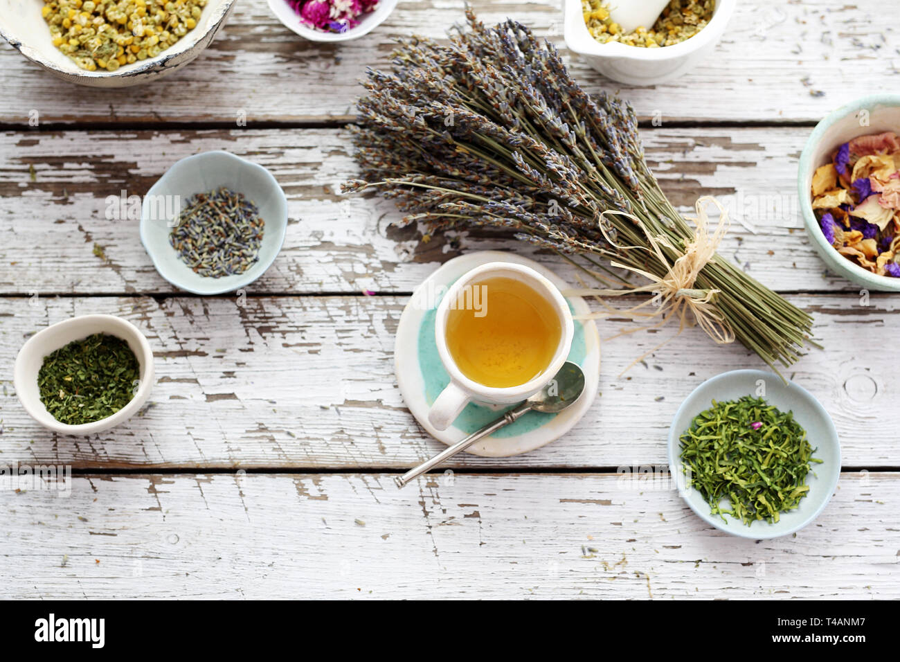 Infusion aux herbes, herboristerie à la lavande. Thé aromatique Banque D'Images