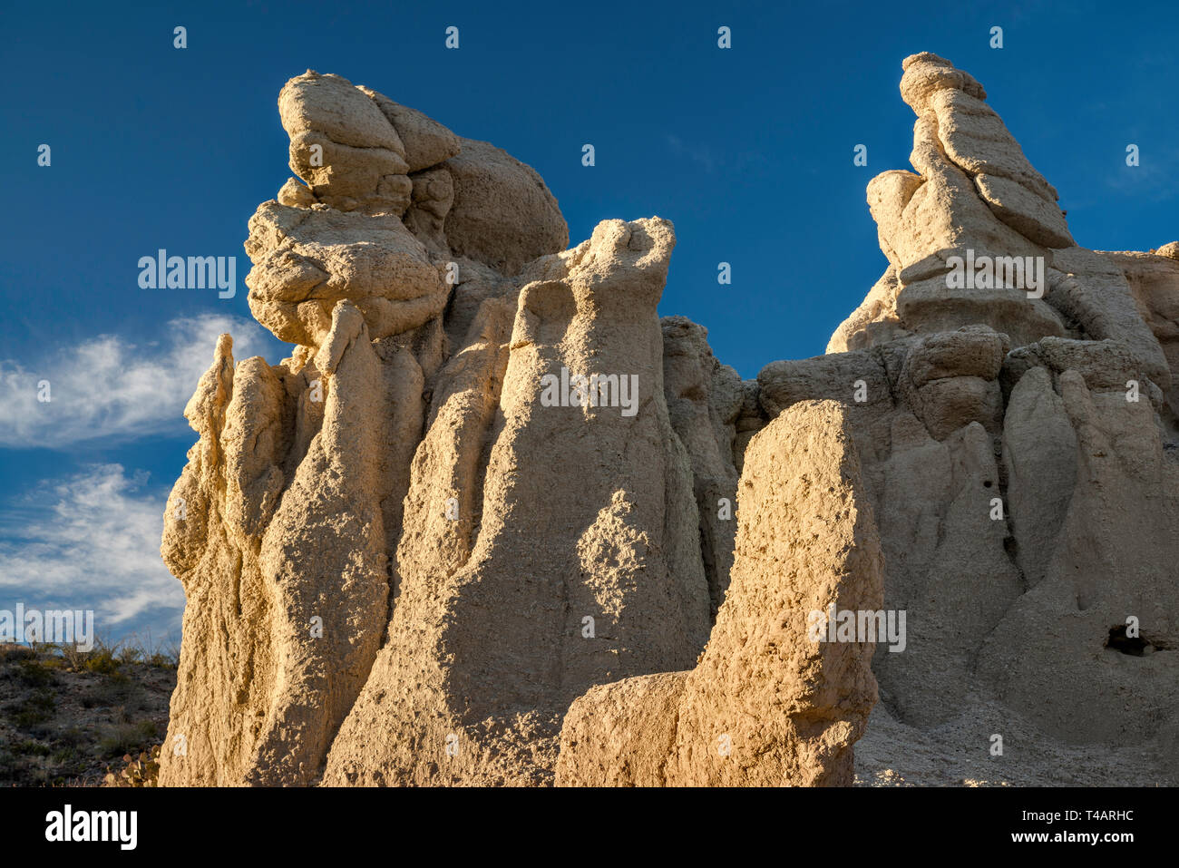 La roche de tuf formations rocheuses le long du chemin River et Rio Grande, Big Bend Ranch State Park, Texas, États-Unis Banque D'Images