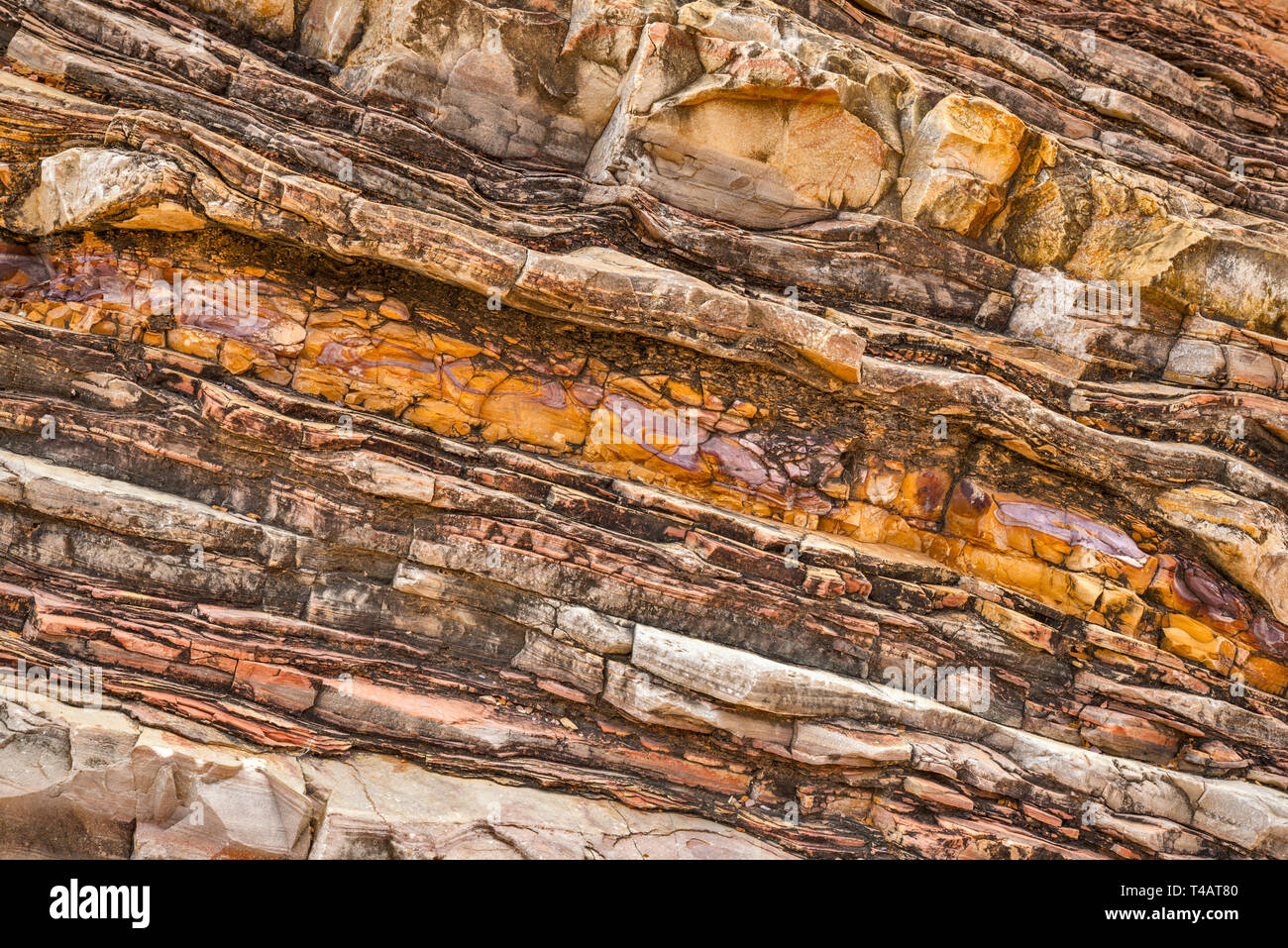 Les couches de schiste et calcaire de Boquillas Formation à Tinaja Ernst Ernst en Canyon, le parc national Big Bend, Texas, États-Unis Banque D'Images