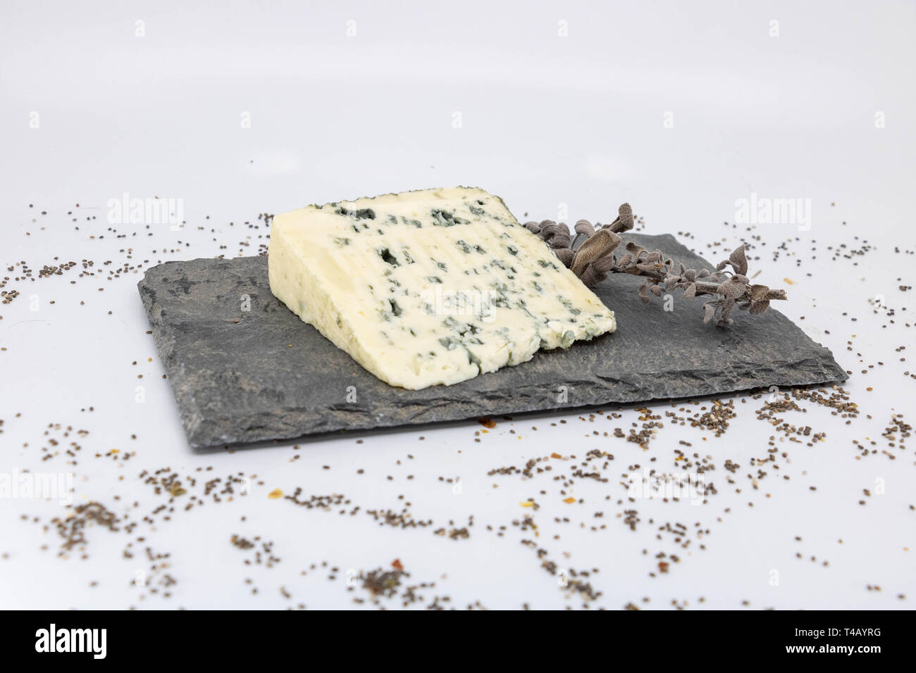 L'Ardoise bac pour une dégustation de fromage bleu et de sauge sauvage Banque D'Images