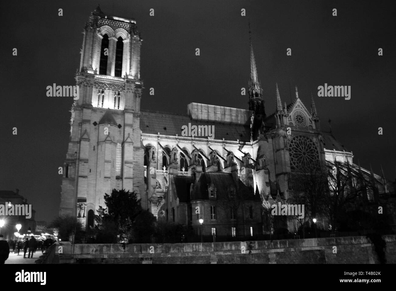 La Cathédrale Notre Dame - La Cathédrale de Paris Banque D'Images