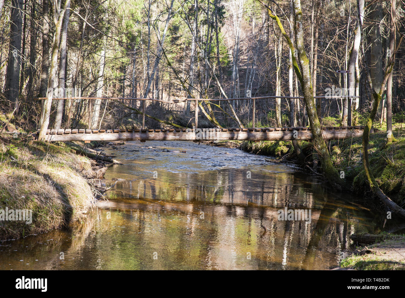 Ieriki Citi, la Lettonie. La nature et la rivière Kumada. Les arbres et l'eau. Travel photo 2019.14.04. Banque D'Images