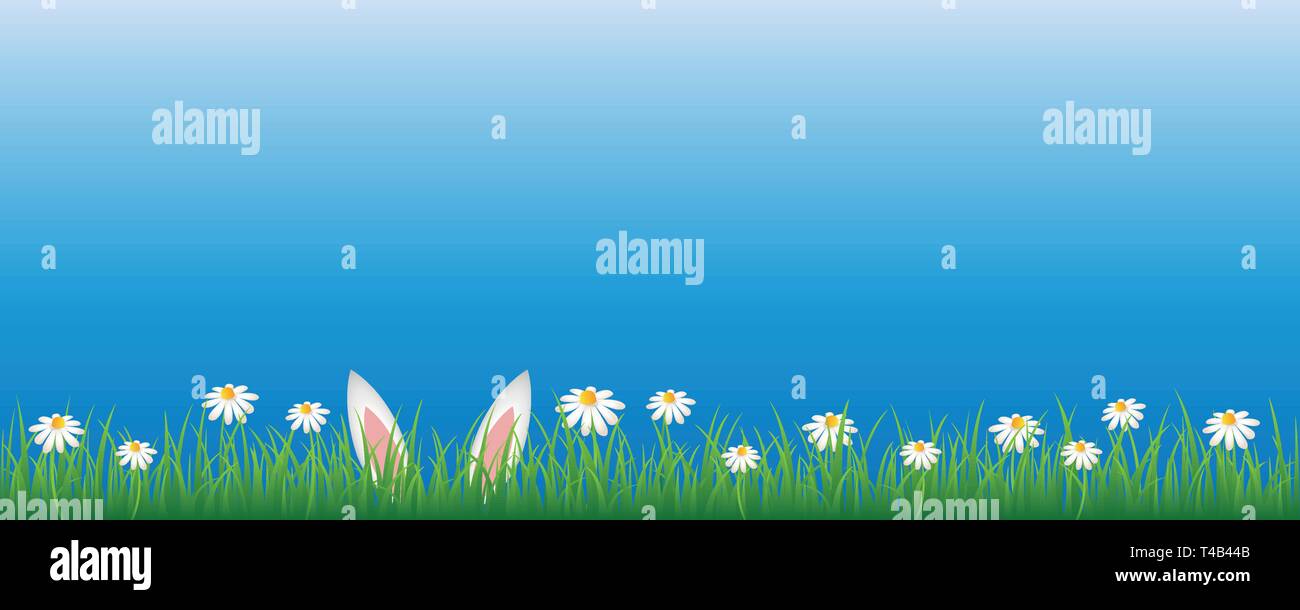 Oreilles de lapin en vert prairie avec Marguerite blanche fleurs banner with copy space vector illustration EPS10 Illustration de Vecteur