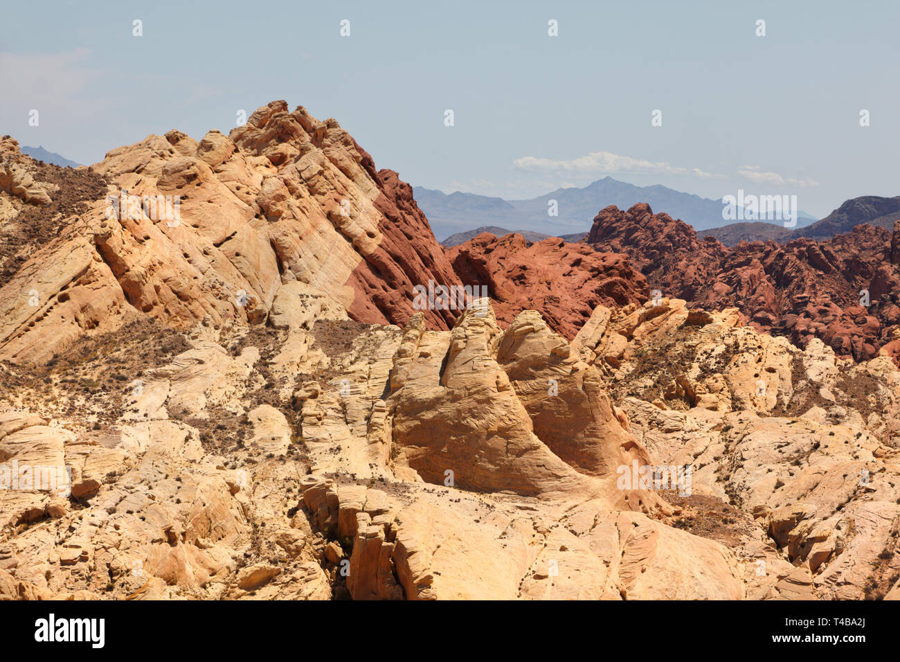 La Vallée de Feu State Park, du Nevada, de l'Amérique. Banque D'Images