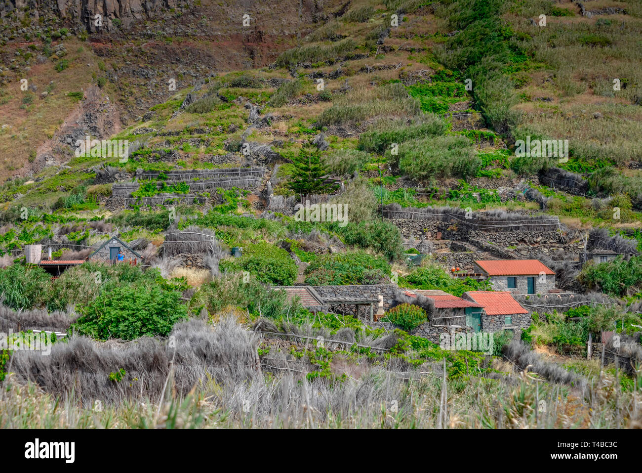 Faja Quebrada Nova, Achadas da Cruz, Madeira, Portugal Banque D'Images