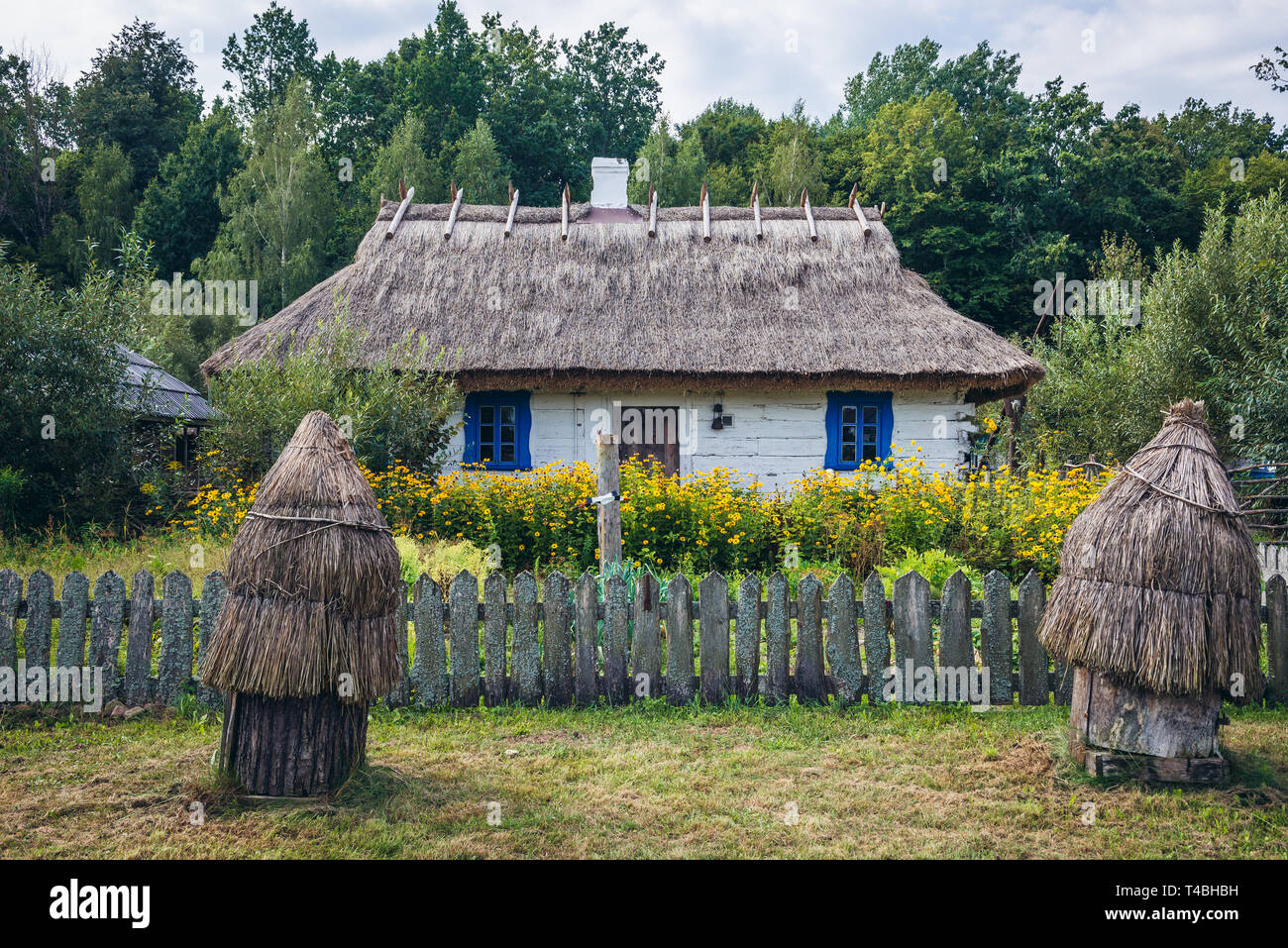 Maison en bois avec toit de chaume dans Bialowieskie Siolo inn de Budy village, Podlaskie Voivodeship en Pologne Banque D'Images